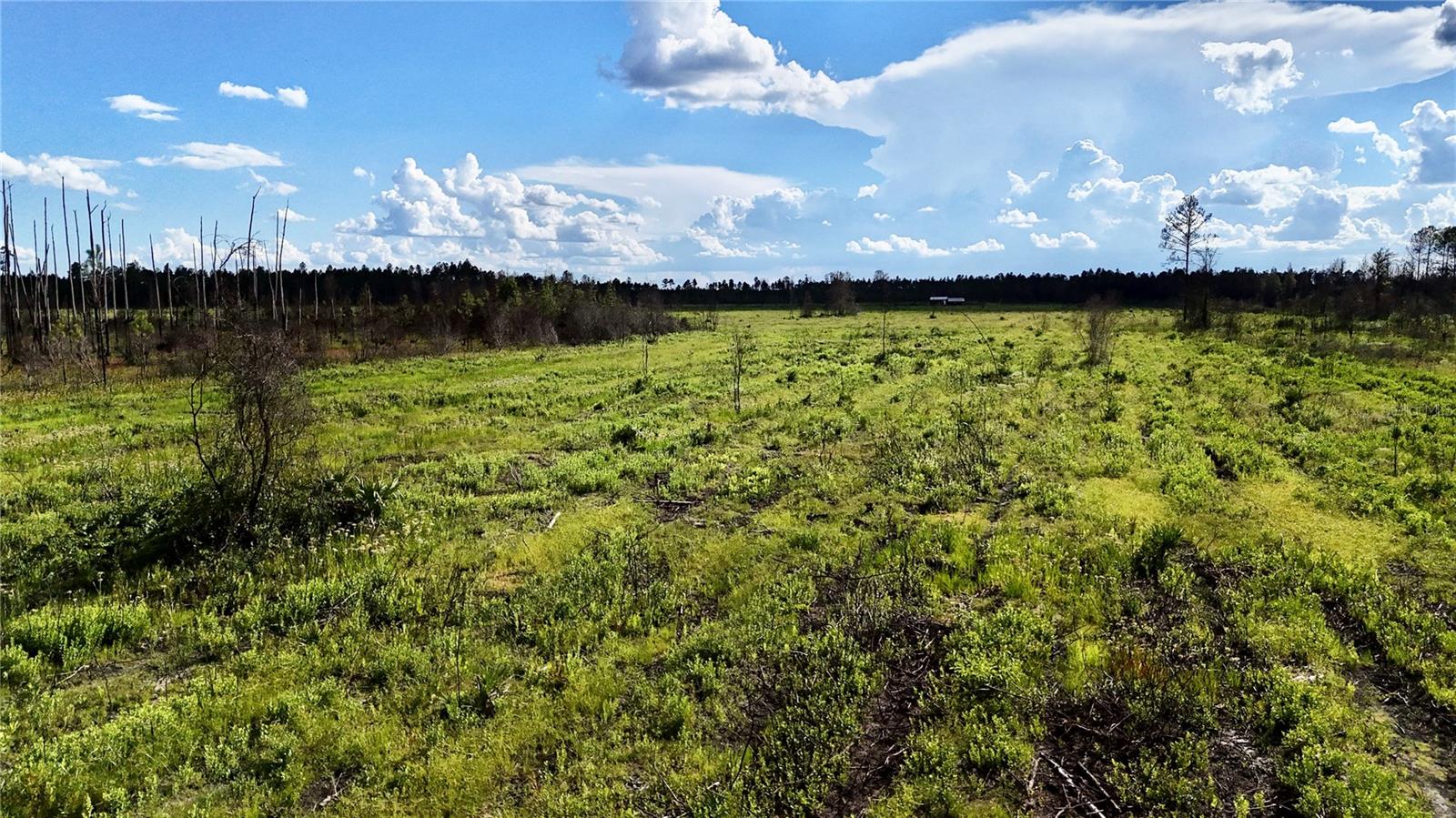 OFF HWY 225, GAINESVILLE, FL, 32609