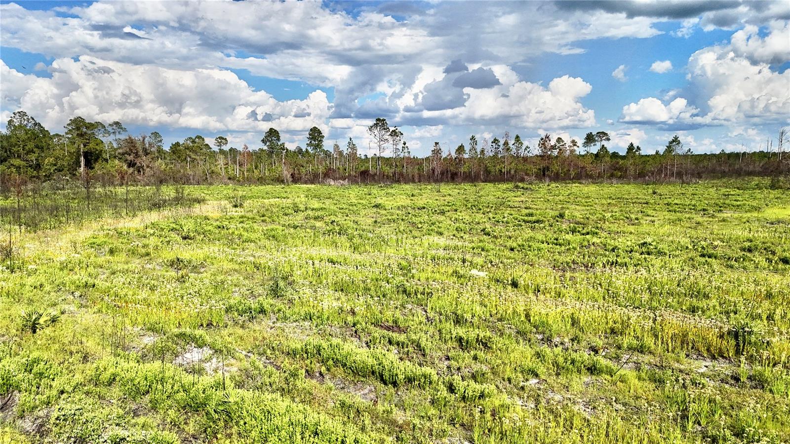 OFF HWY 225, GAINESVILLE, FL, 32609