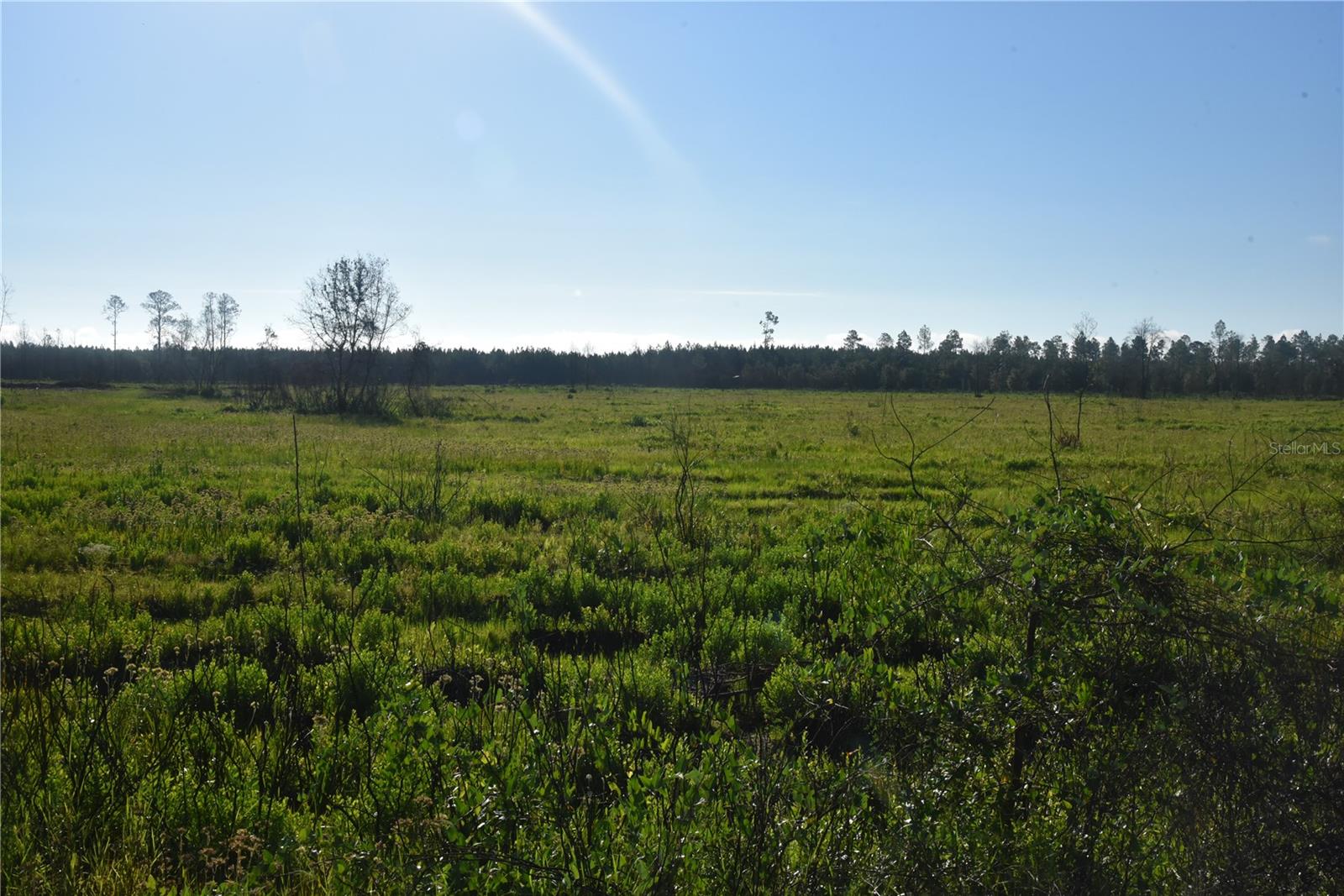 OFF HWY 225, GAINESVILLE, FL, 32609