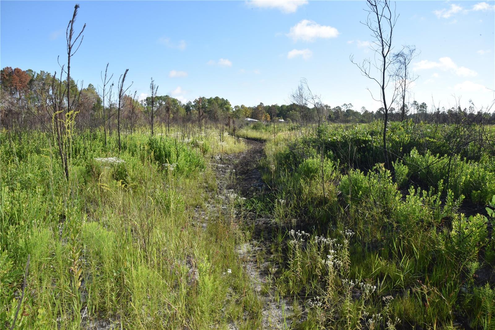 OFF HWY 225, GAINESVILLE, FL, 32609