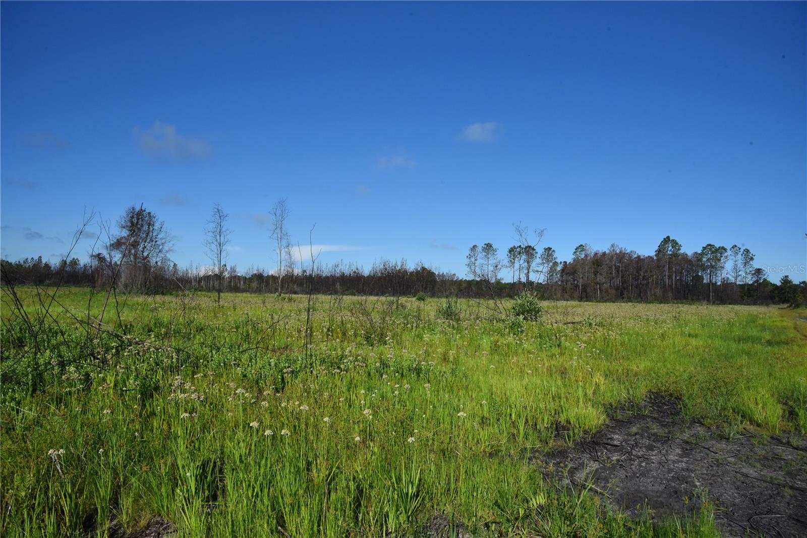 OFF HWY 225, GAINESVILLE, FL, 32609