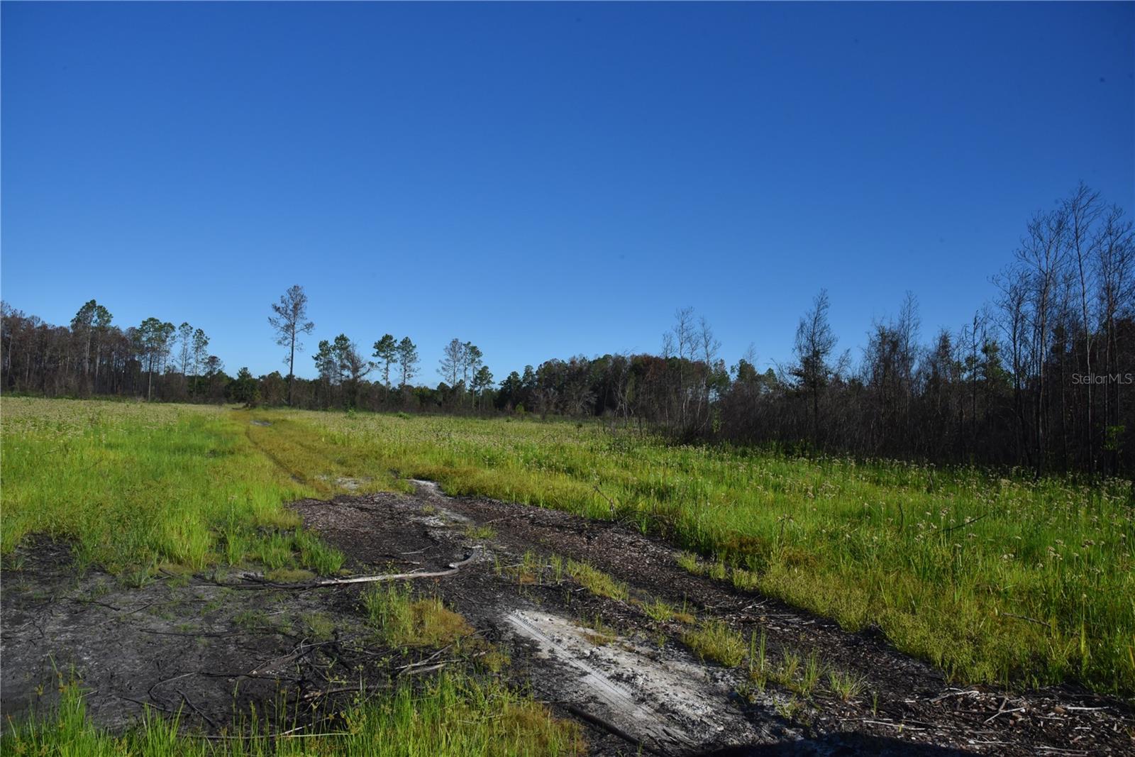 OFF HWY 225, GAINESVILLE, FL, 32609