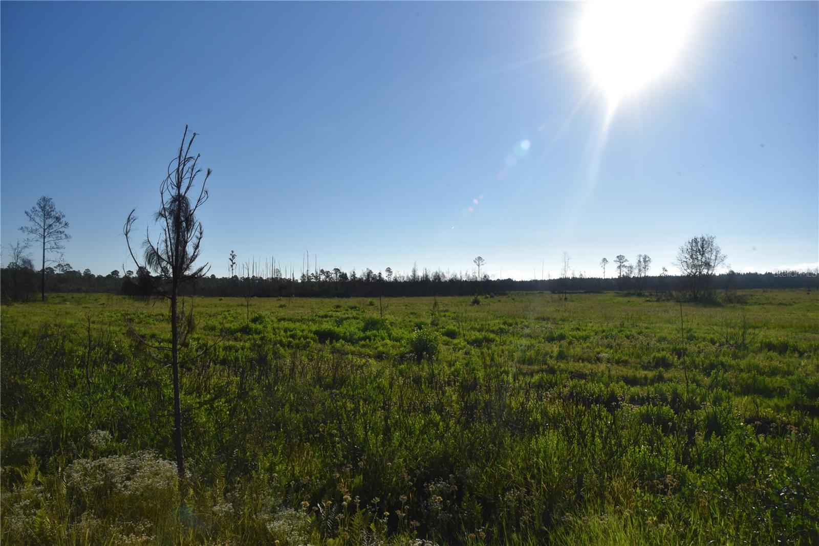 OFF HWY 225, GAINESVILLE, FL, 32609