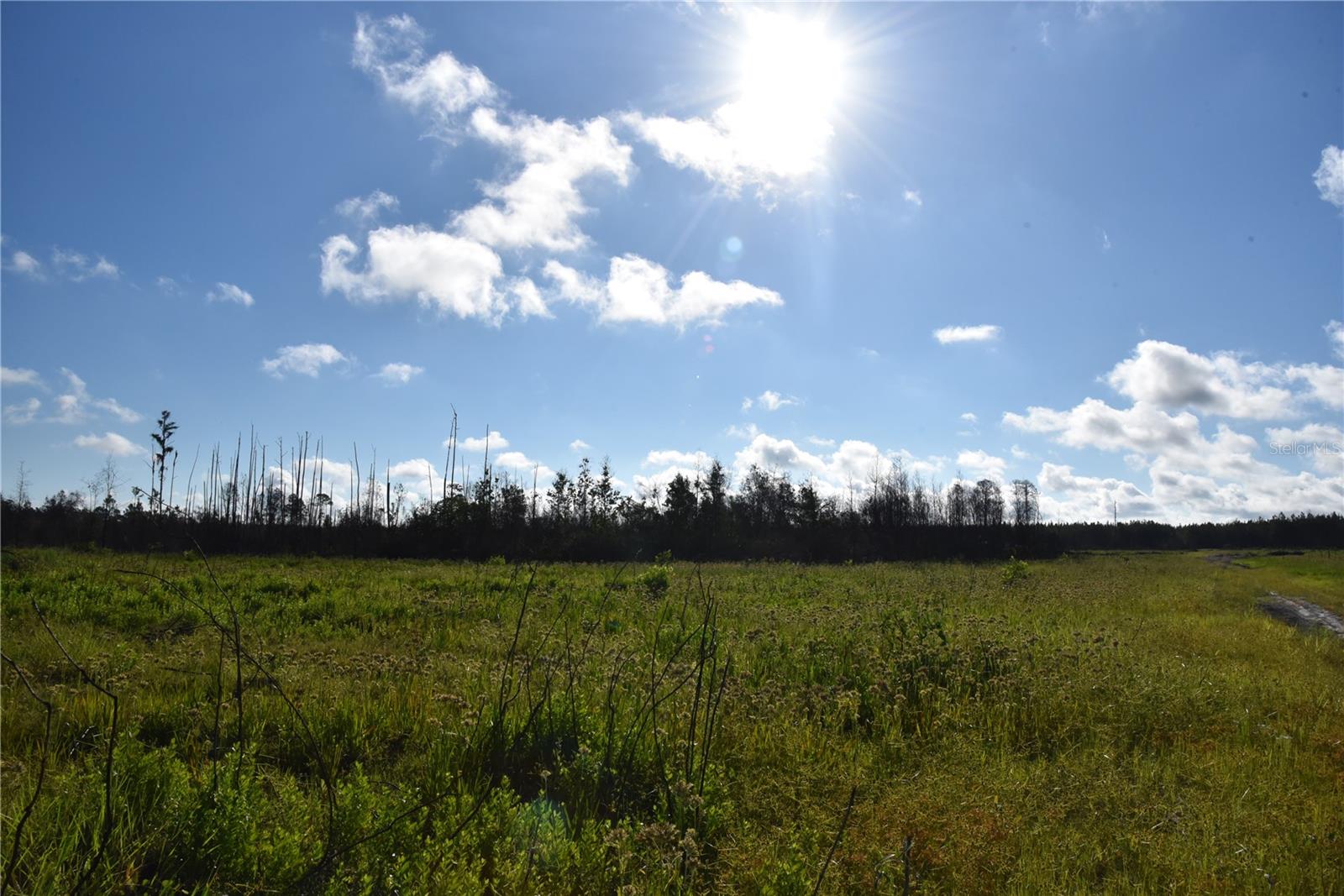 OFF HWY 225, GAINESVILLE, FL, 32609