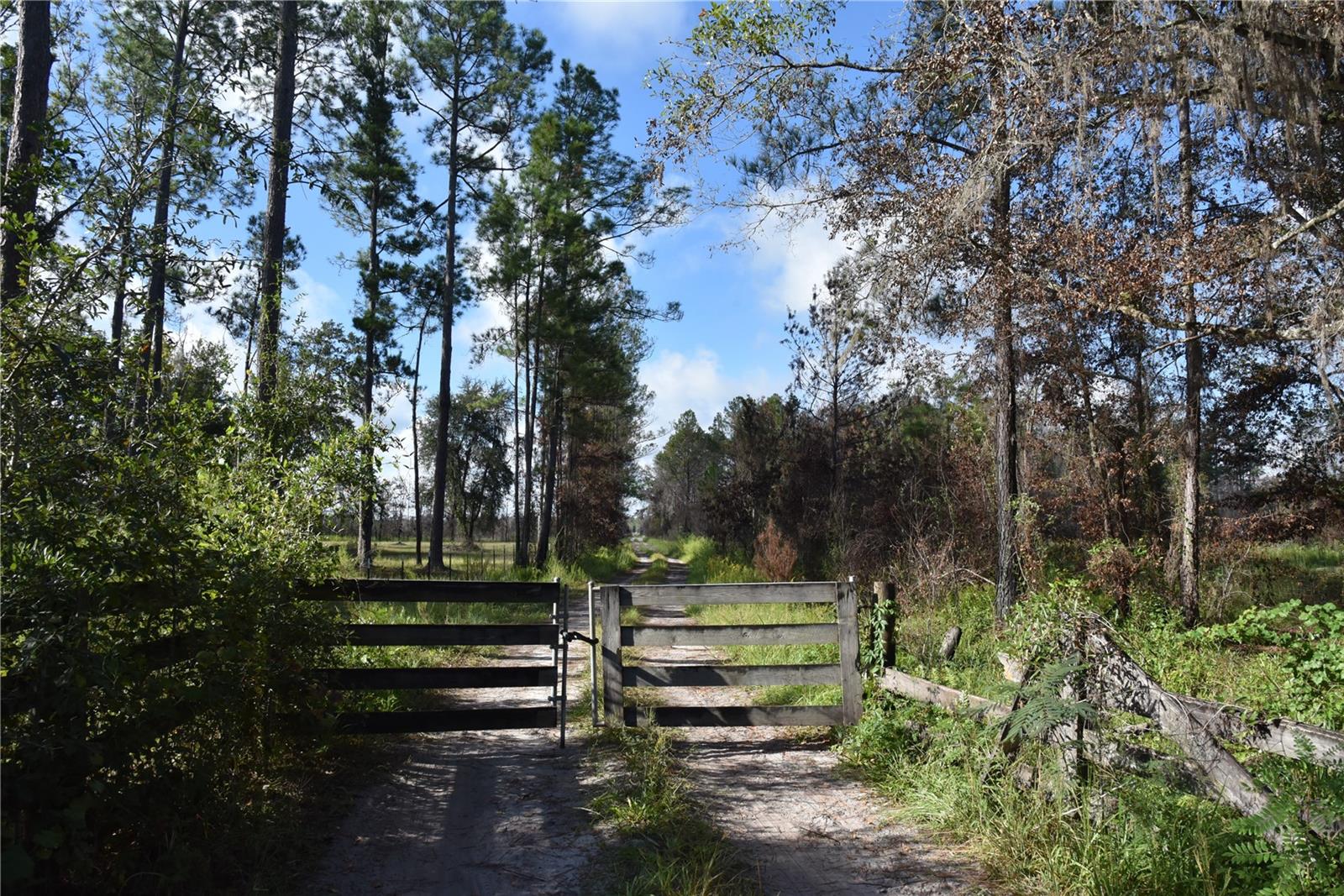 OFF HWY 225, GAINESVILLE, FL, 32609