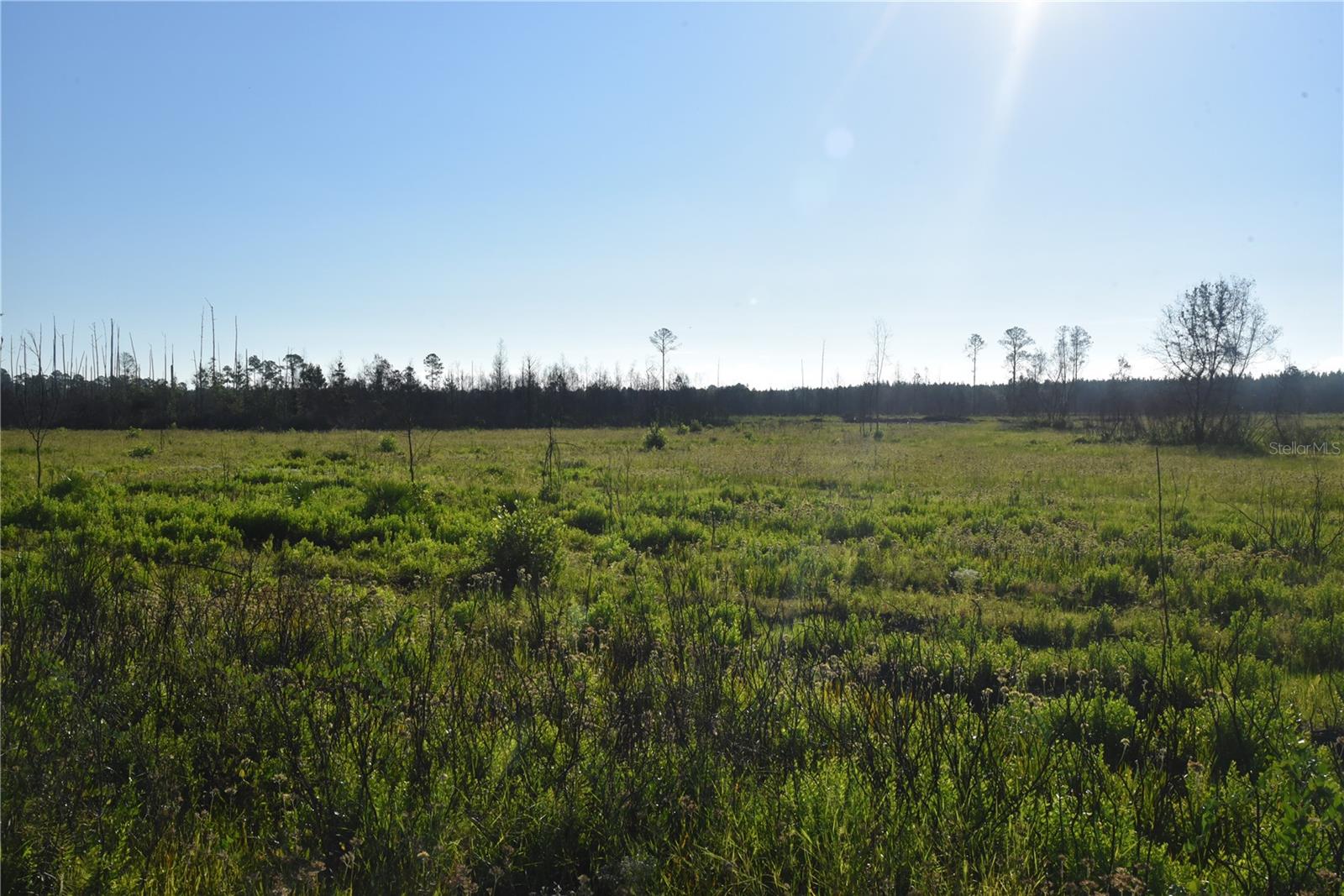 OFF HWY 225, GAINESVILLE, FL, 32609
