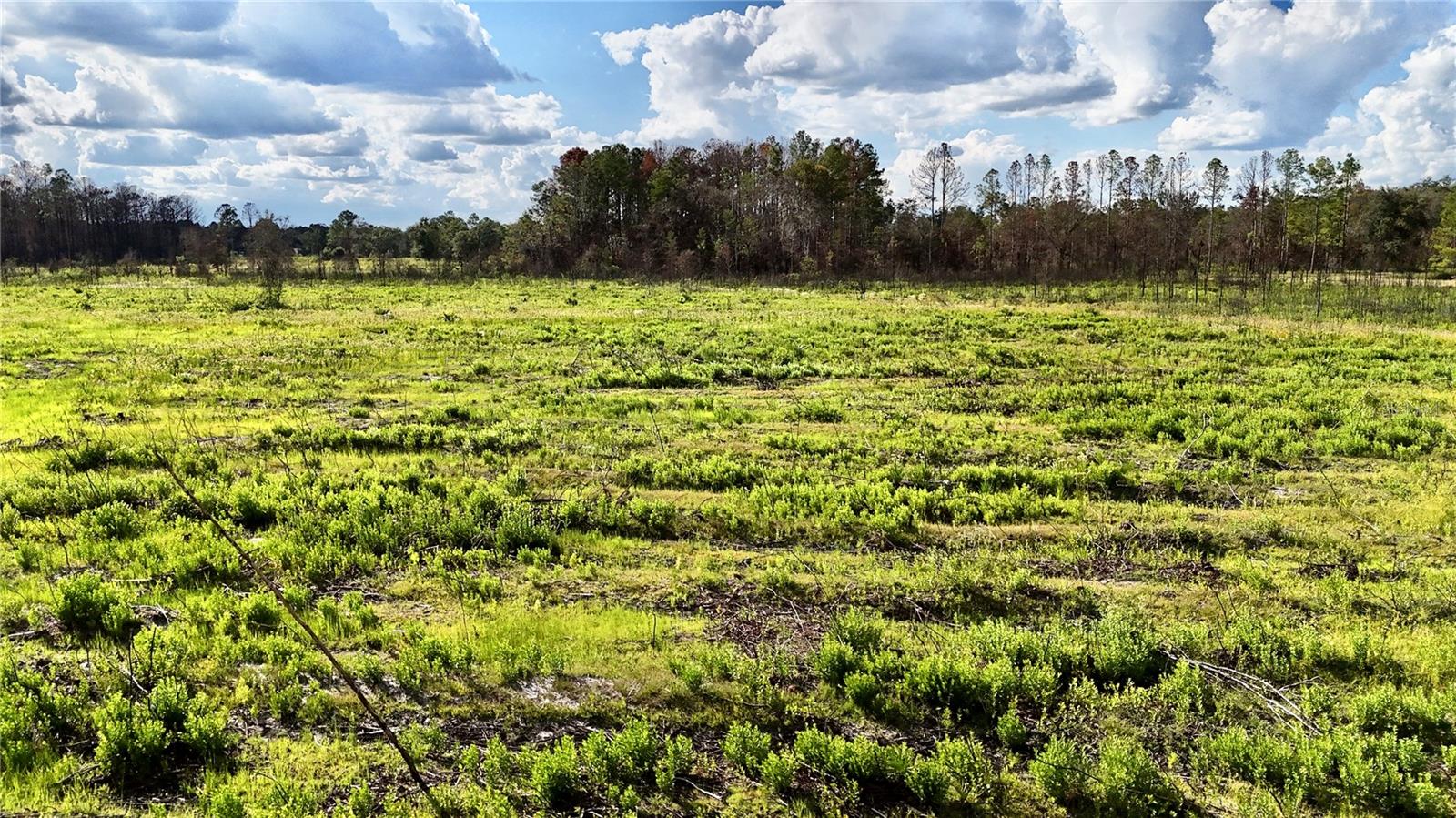 OFF HWY 225, GAINESVILLE, FL, 32609