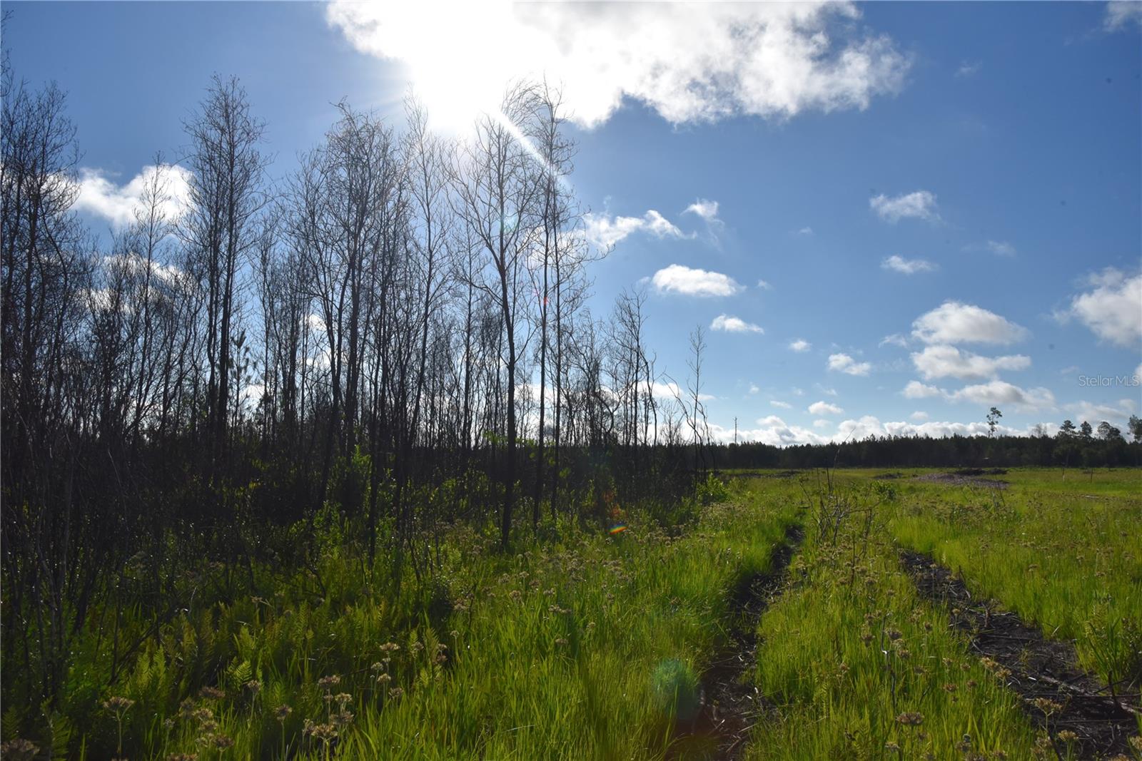 OFF HWY 225, GAINESVILLE, FL, 32609