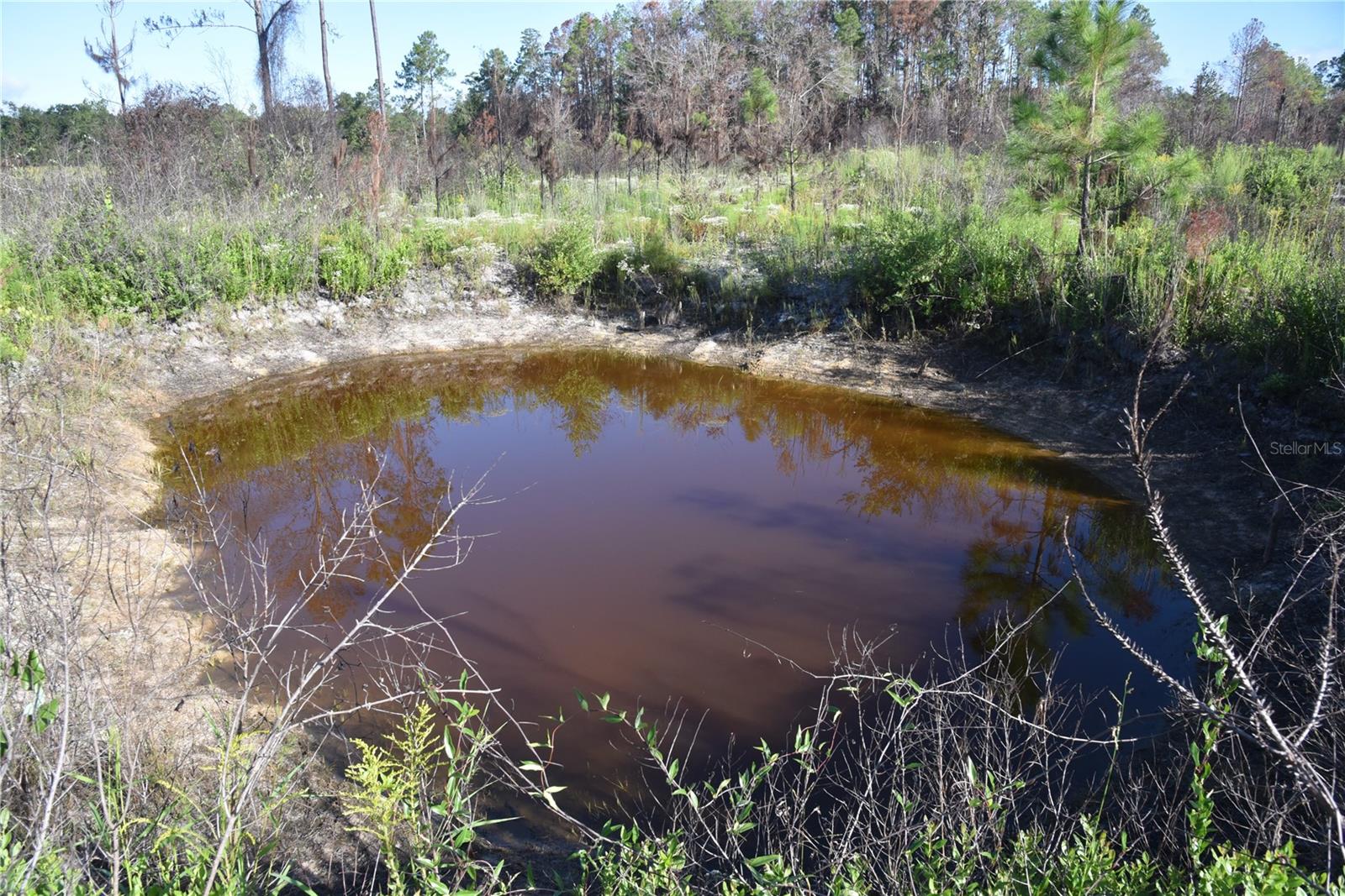 OFF HWY 225, GAINESVILLE, FL, 32609