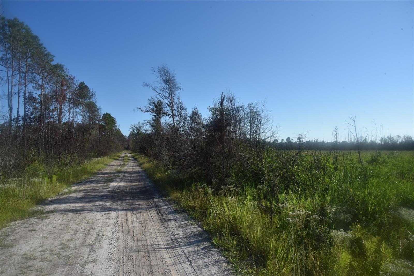 OFF HWY 225, GAINESVILLE, FL, 32609