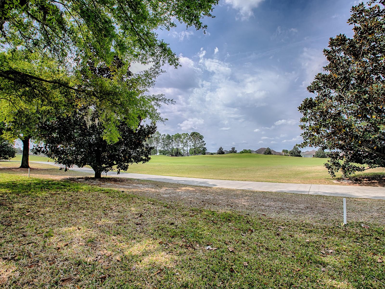 1739 LAKEWOOD DR, THE VILLAGES, FL, 32162