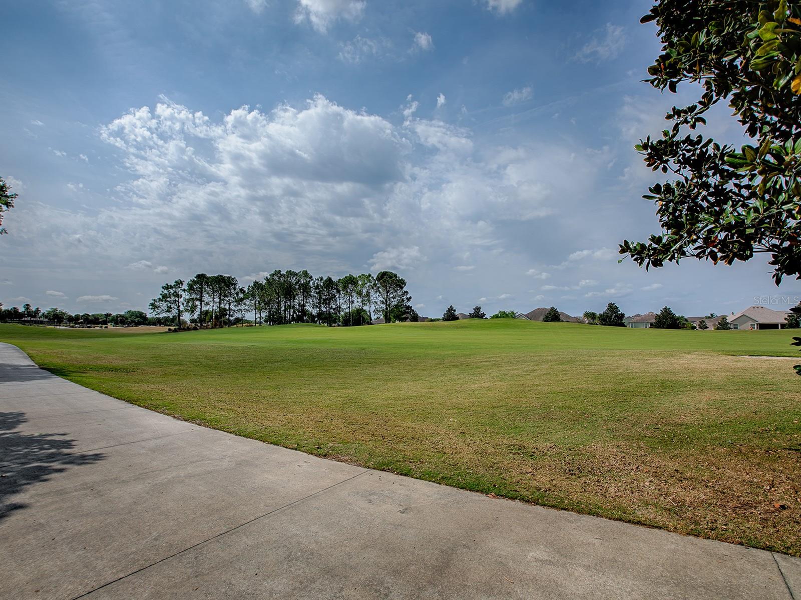 1739 LAKEWOOD DR, THE VILLAGES, FL, 32162
