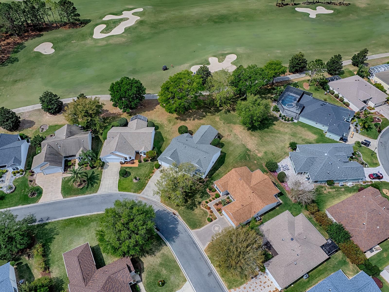1739 LAKEWOOD DR, THE VILLAGES, FL, 32162