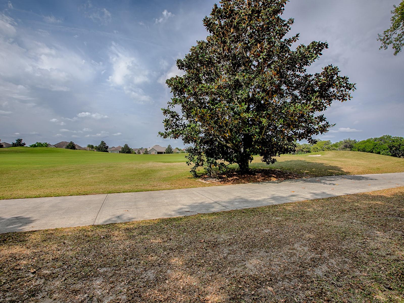 1739 LAKEWOOD DR, THE VILLAGES, FL, 32162