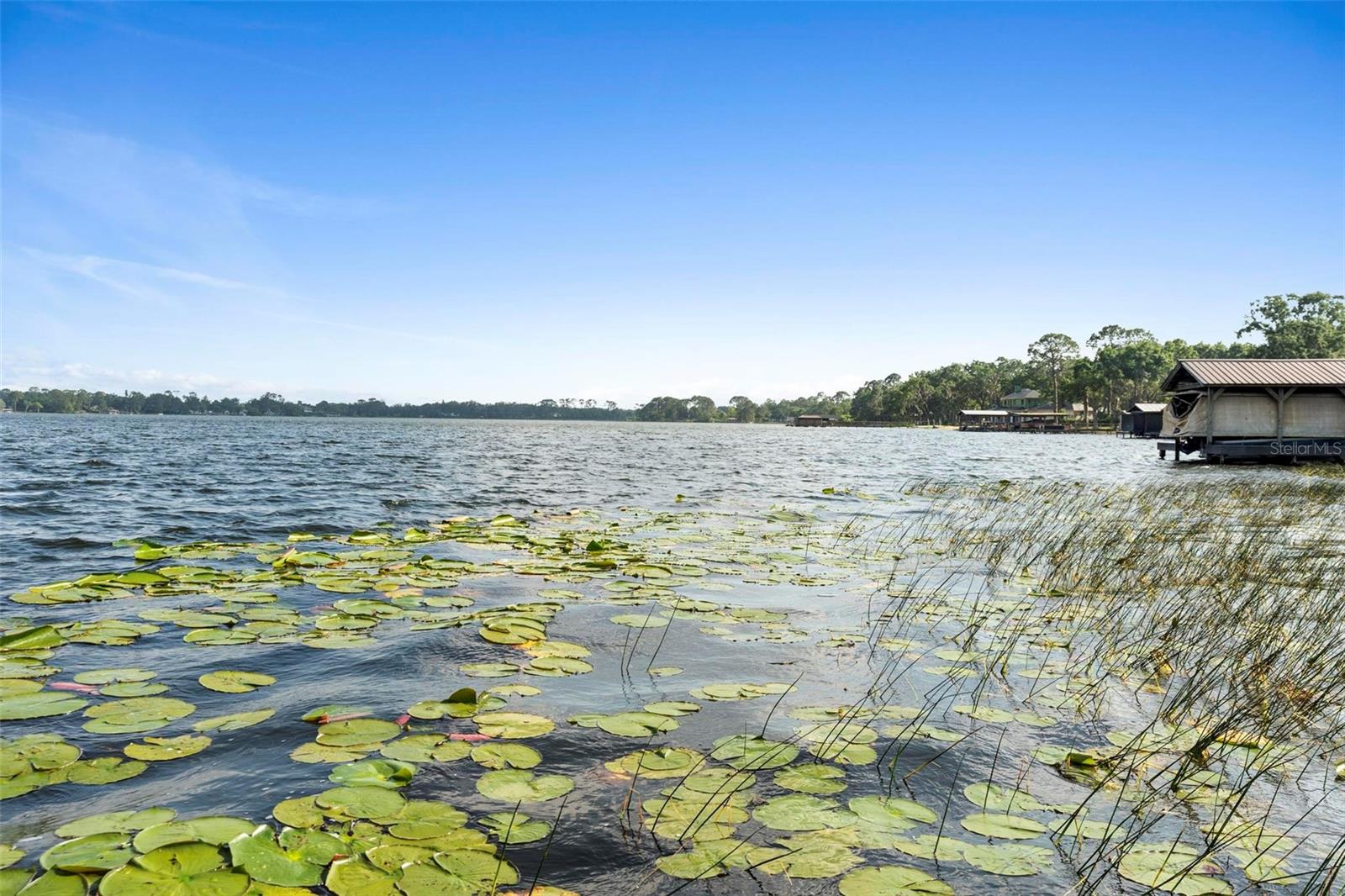 3005 GARDEN RD, EUSTIS, FL, 32726