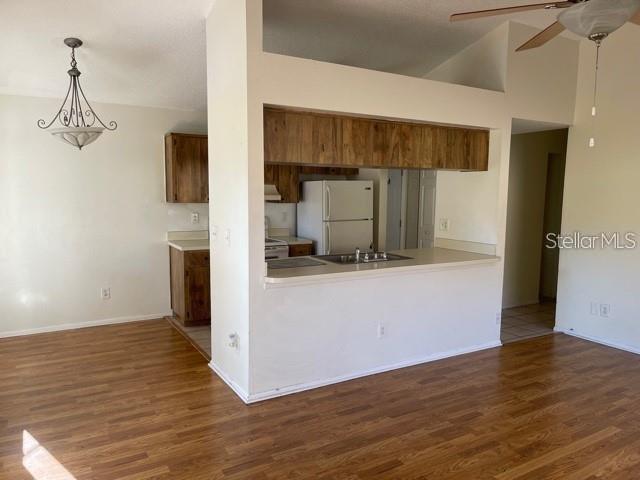 3646 BRIDLE CT, PALM HARBOR, FL, 34684