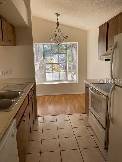 3646 BRIDLE CT, PALM HARBOR, FL, 34684