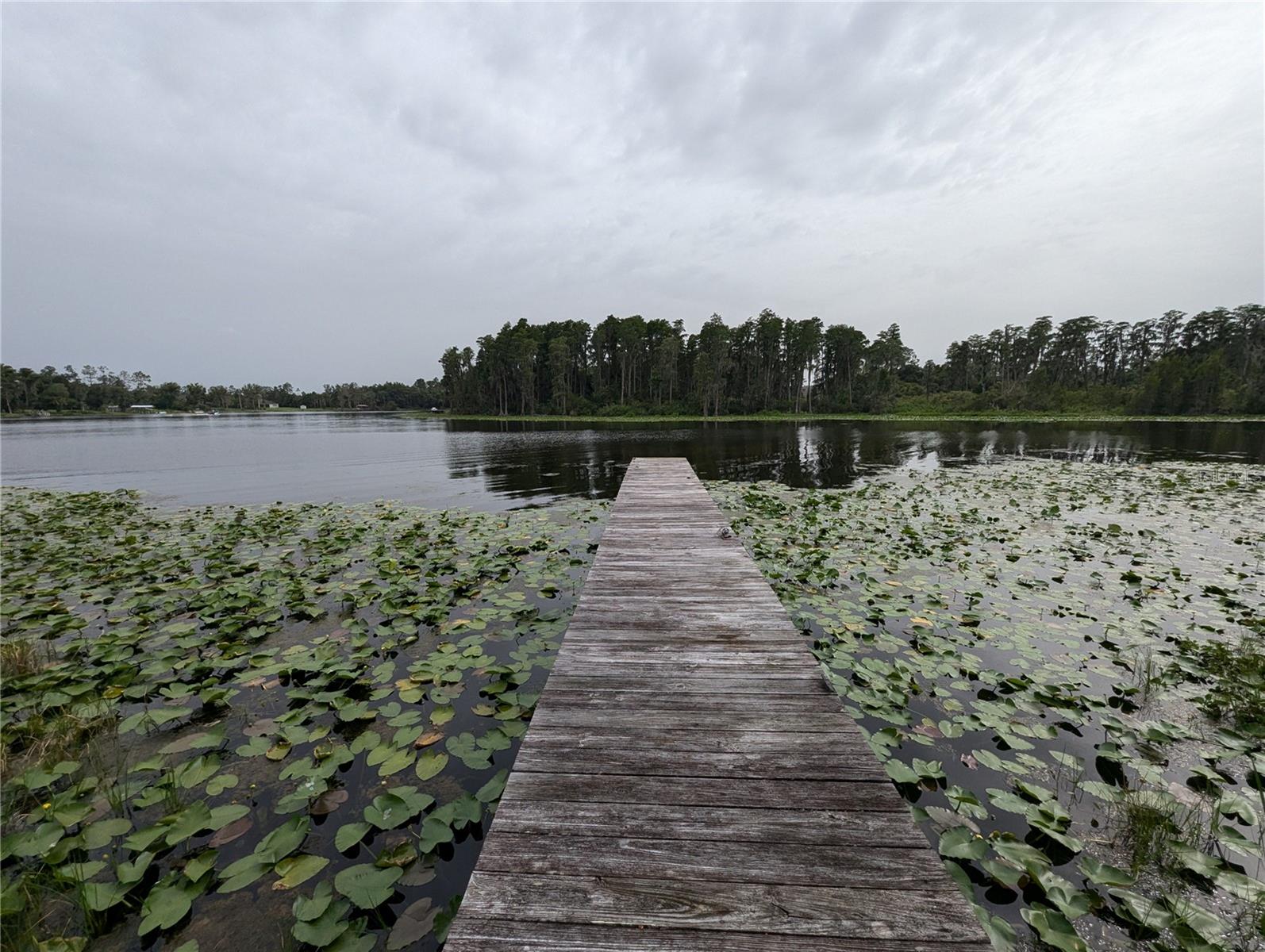 18302 HANNA RD, LUTZ, FL, 33549