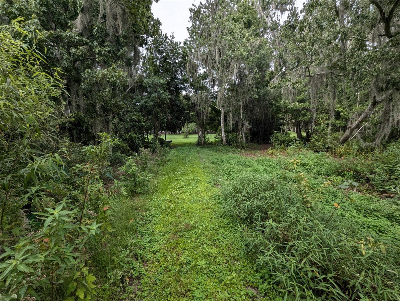18302 HANNA RD, LUTZ, FL, 33549