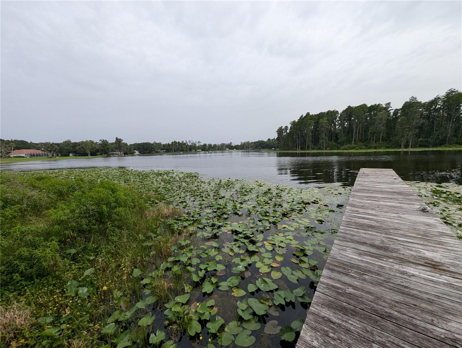18302 HANNA RD, LUTZ, FL, 33549
