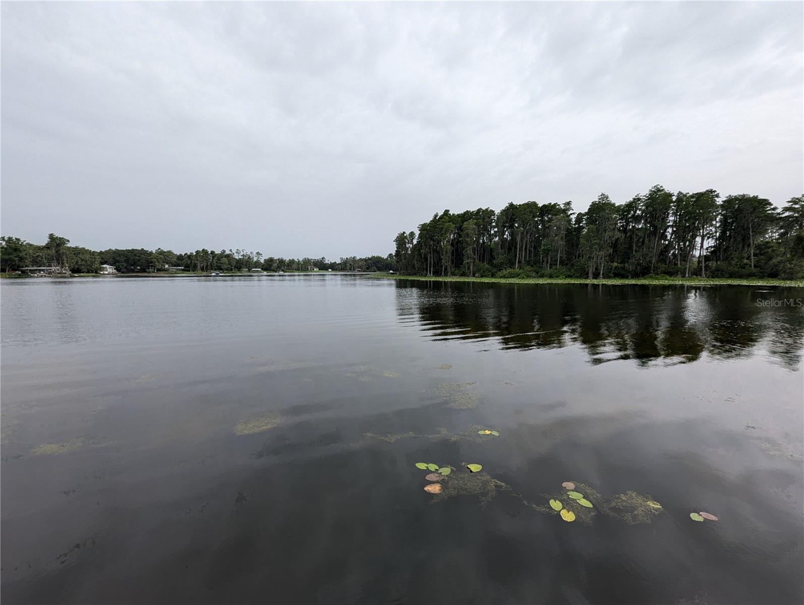 18302 HANNA RD, LUTZ, FL, 33549