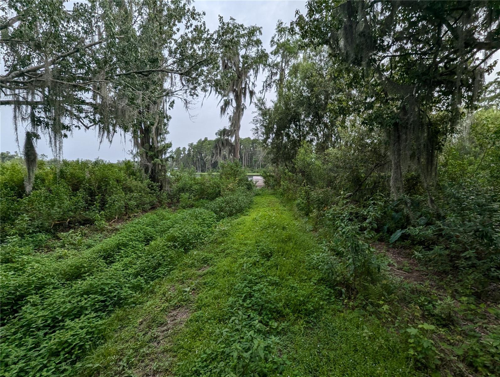 18302 HANNA RD, LUTZ, FL, 33549