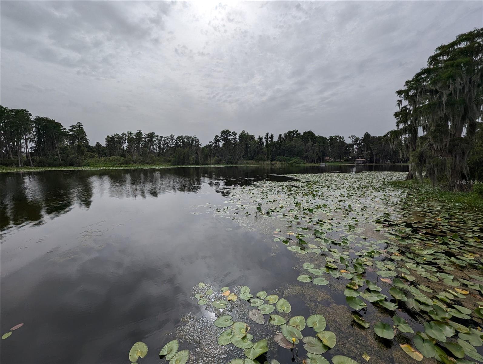 18302 HANNA RD, LUTZ, FL, 33549