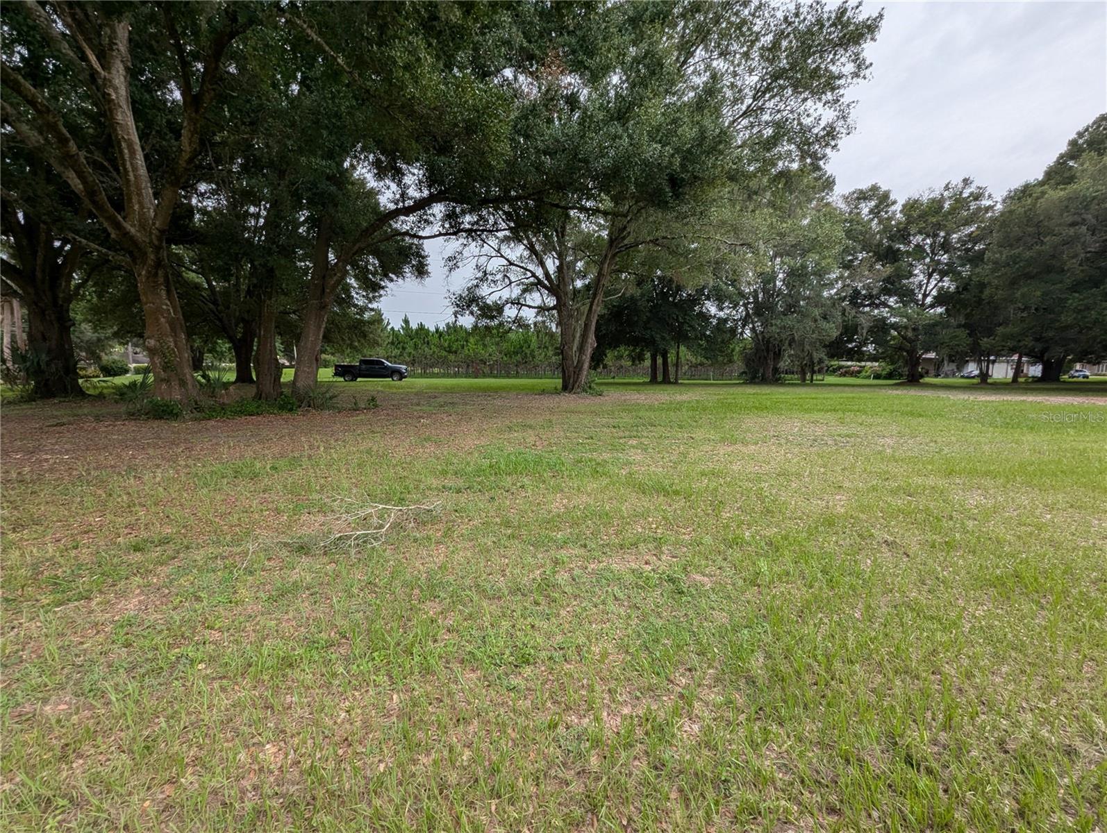 18302 HANNA RD, LUTZ, FL, 33549