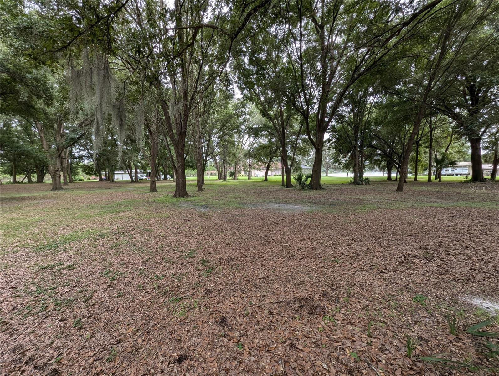 18302 HANNA RD, LUTZ, FL, 33549