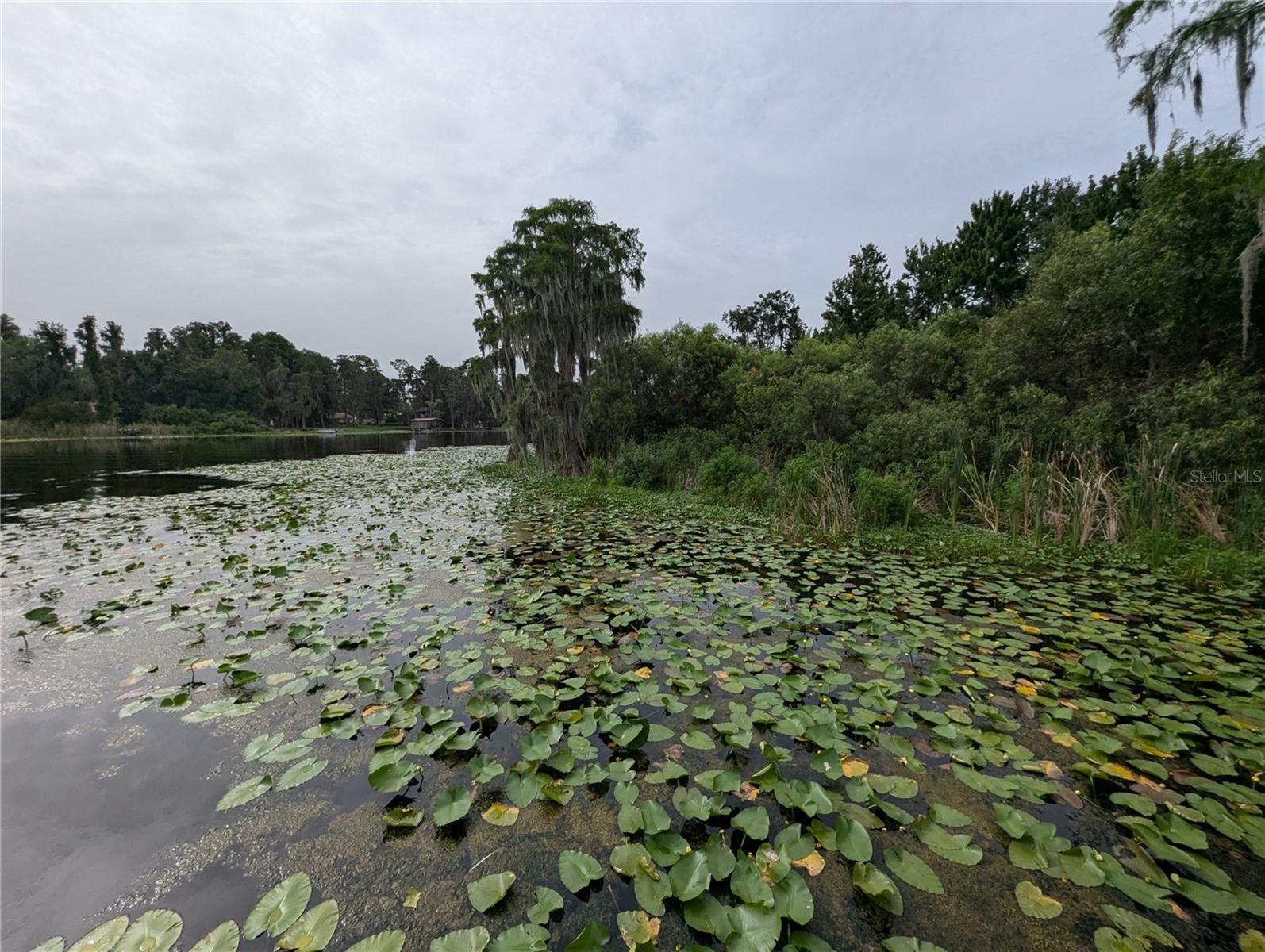 18302 HANNA RD, LUTZ, FL, 33549