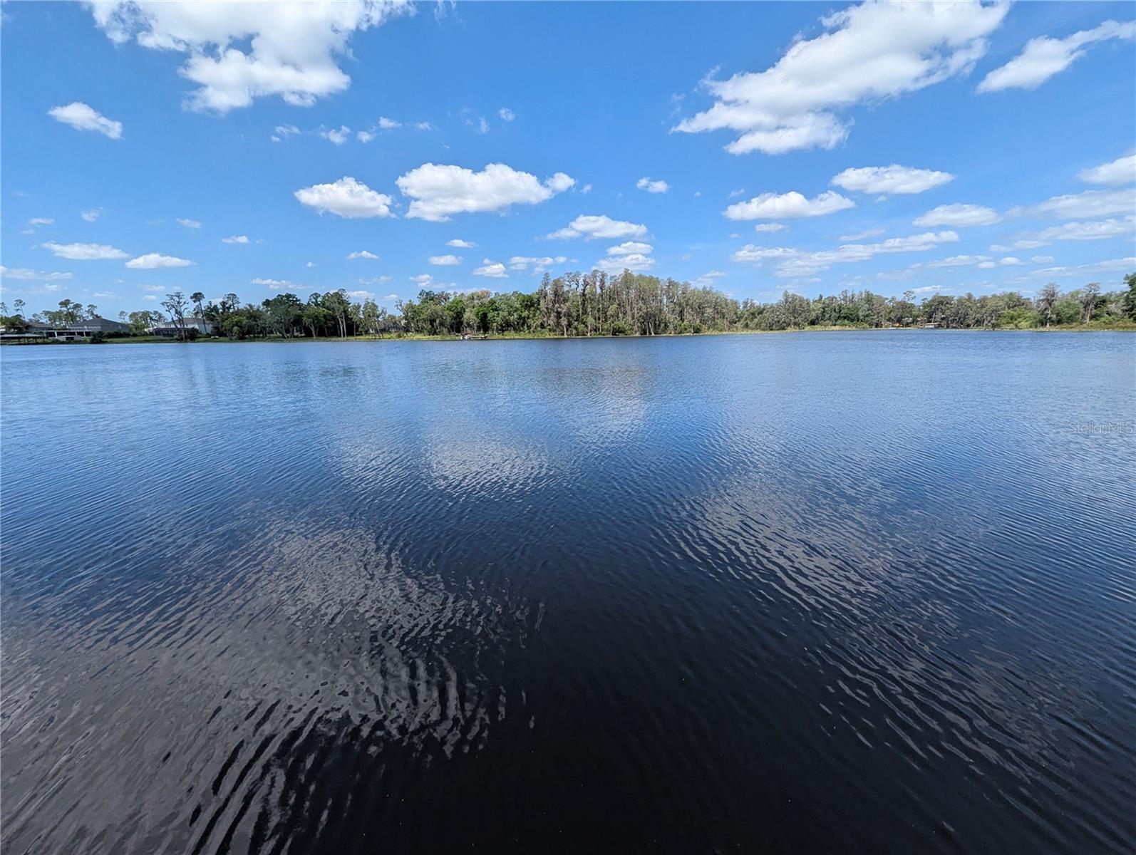 18302 HANNA RD, LUTZ, FL, 33549