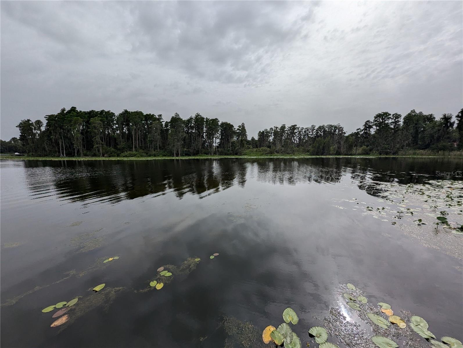 18302 HANNA RD, LUTZ, FL, 33549