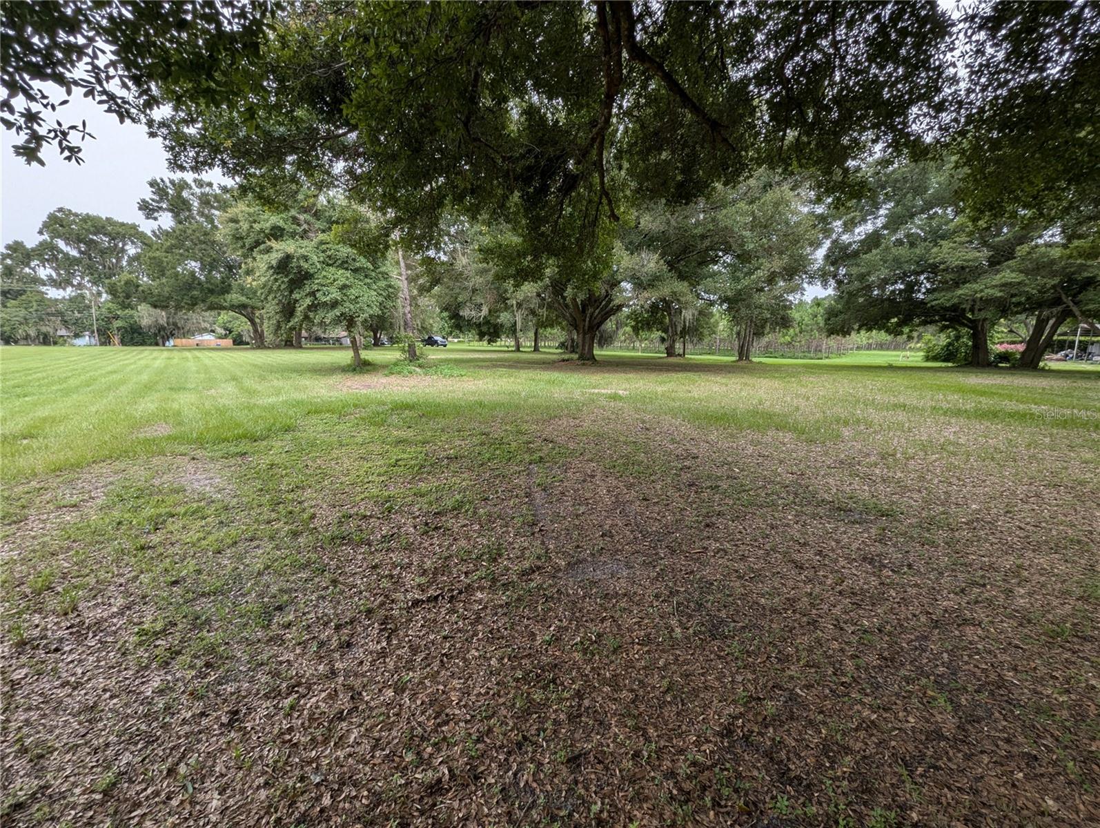 18302 HANNA RD, LUTZ, FL, 33549