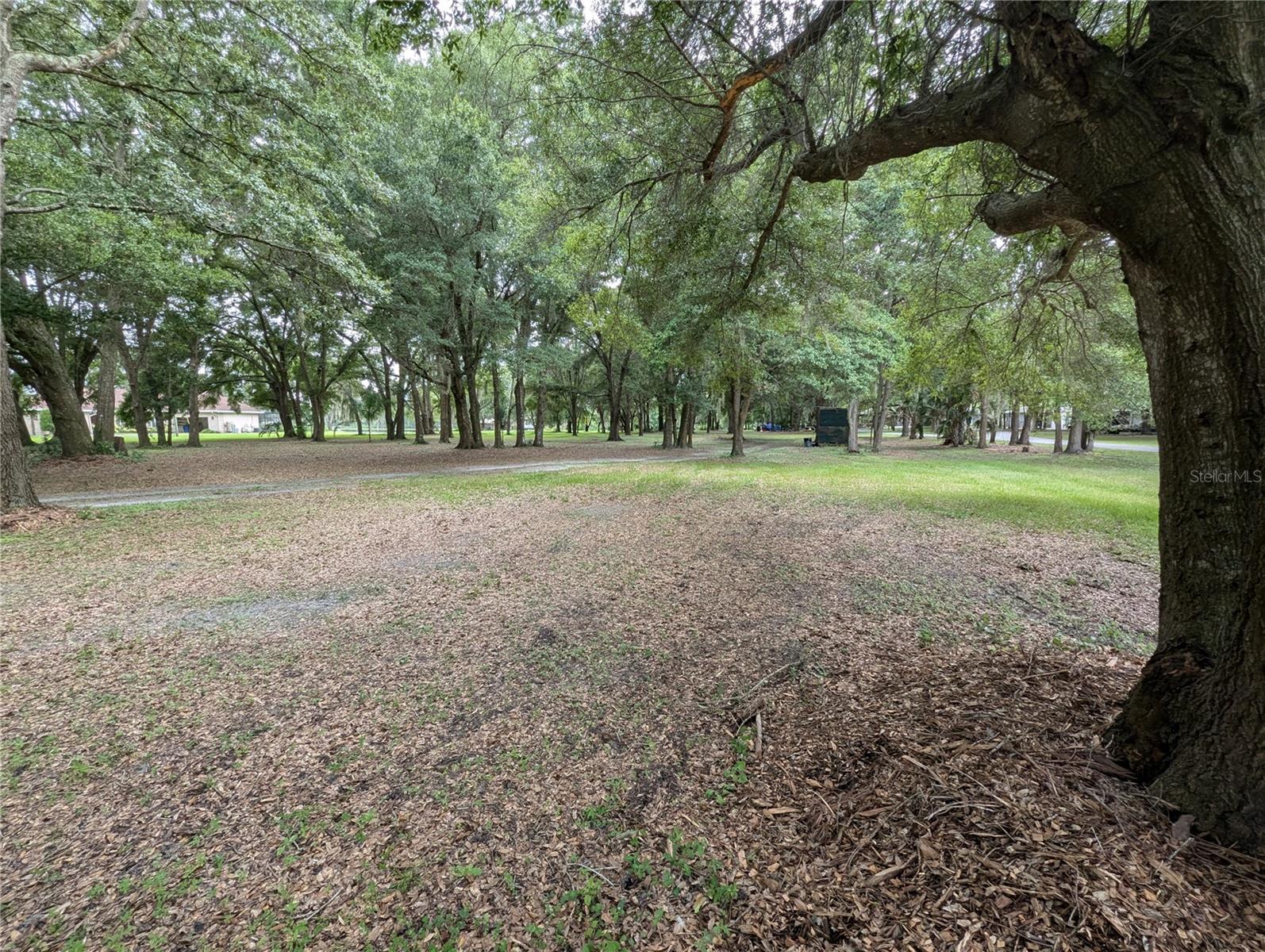 18302 HANNA RD, LUTZ, FL, 33549