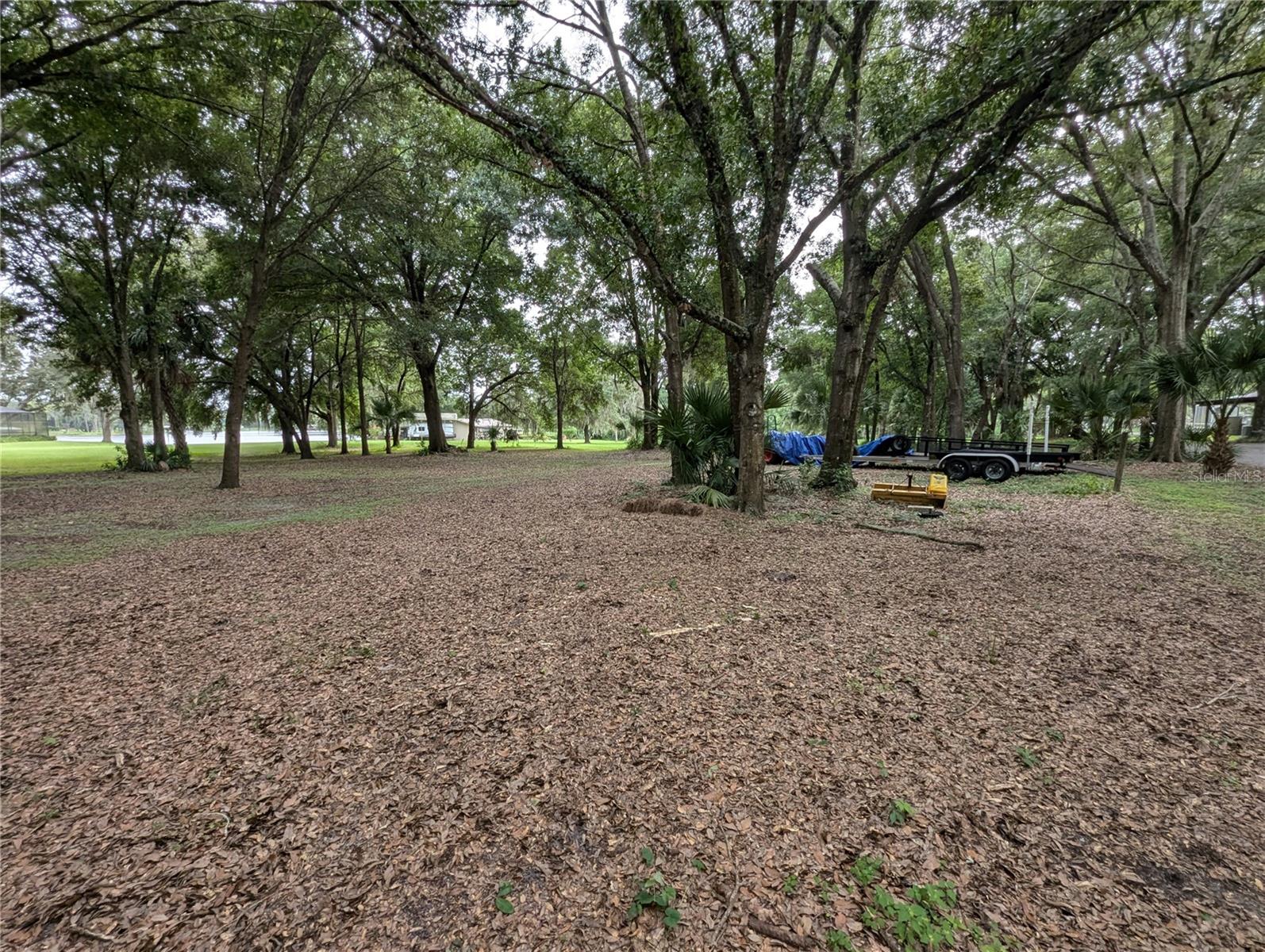 18302 HANNA RD, LUTZ, FL, 33549