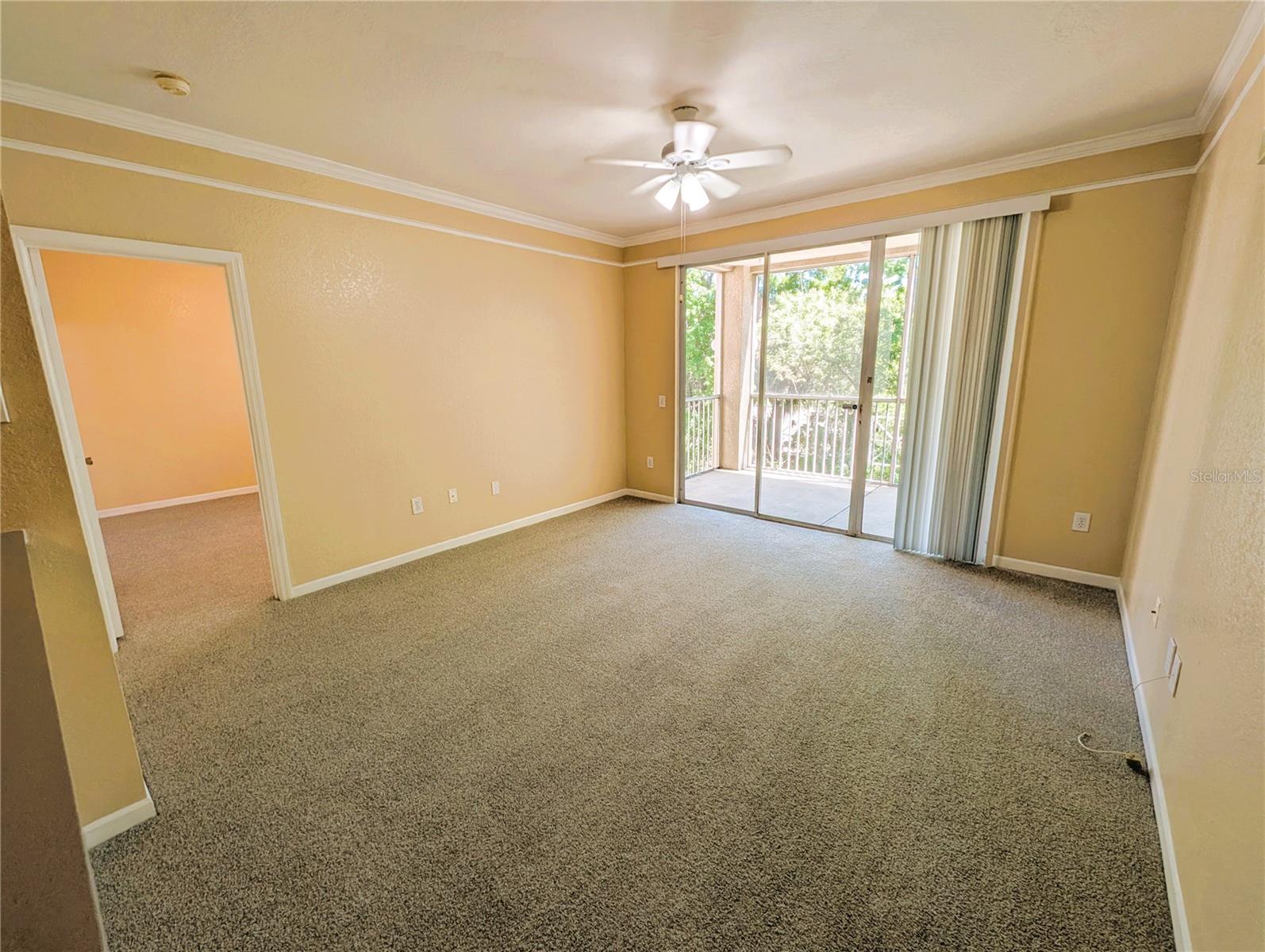 17104 CARRINGTON PARK DR #518, TAMPA, FL, 33647