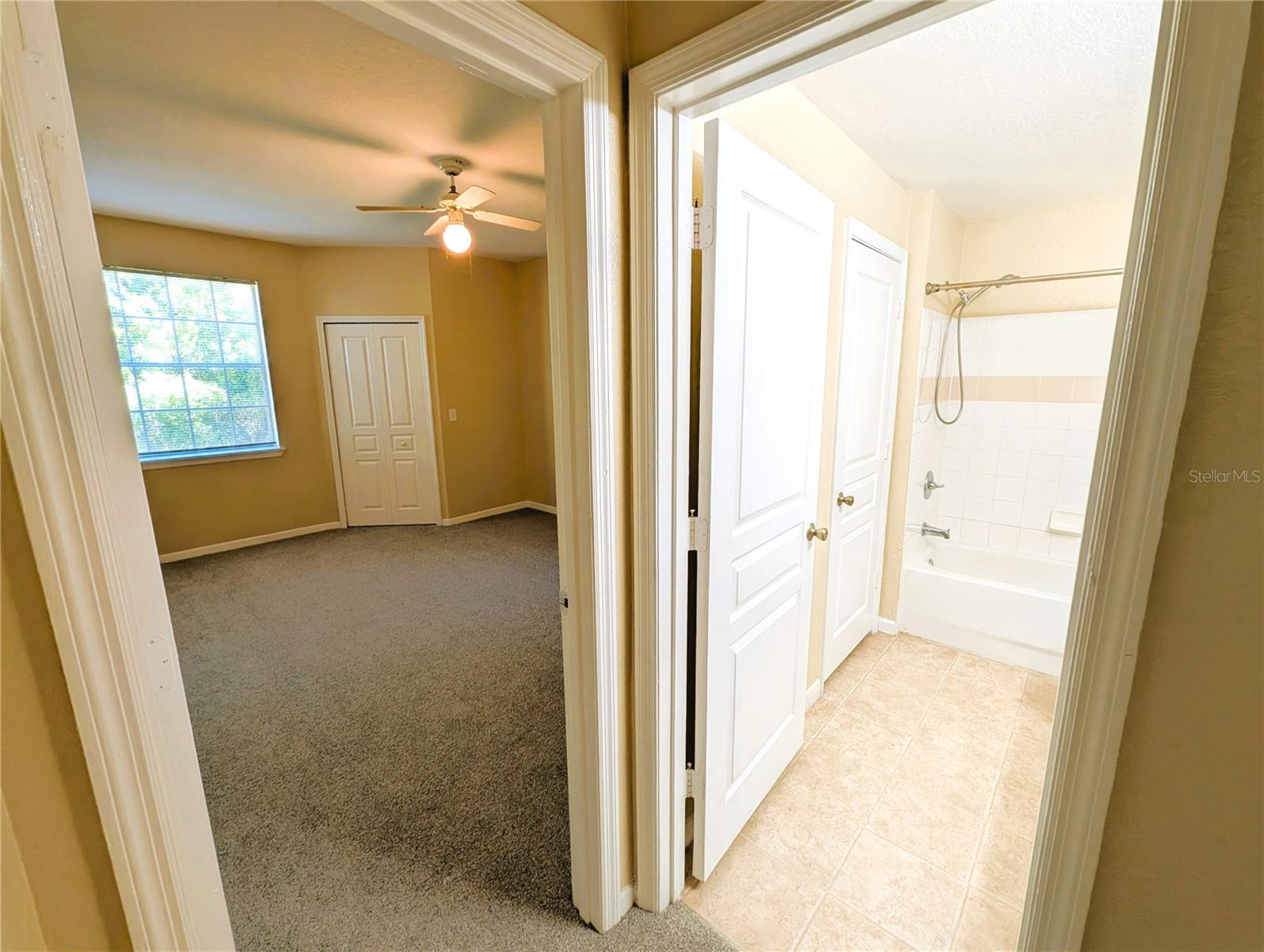 17104 CARRINGTON PARK DR #518, TAMPA, FL, 33647