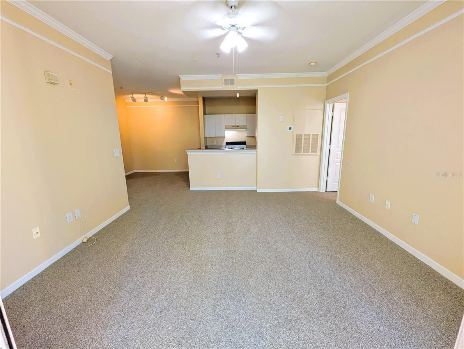 17104 CARRINGTON PARK DR #518, TAMPA, FL, 33647