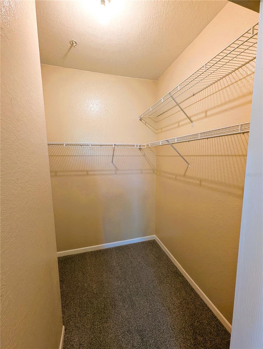 17104 CARRINGTON PARK DR #518, TAMPA, FL, 33647