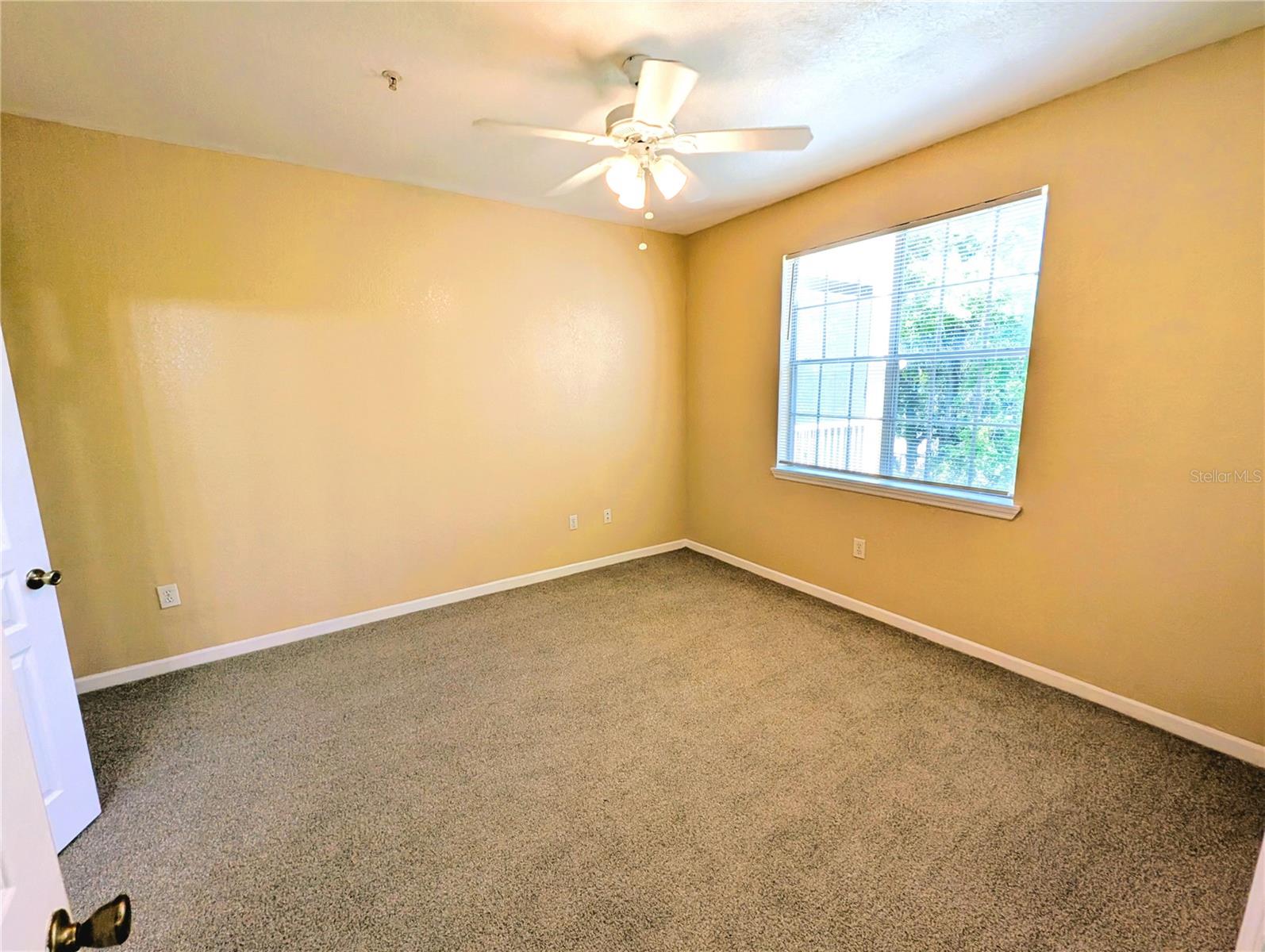 17104 CARRINGTON PARK DR #518, TAMPA, FL, 33647