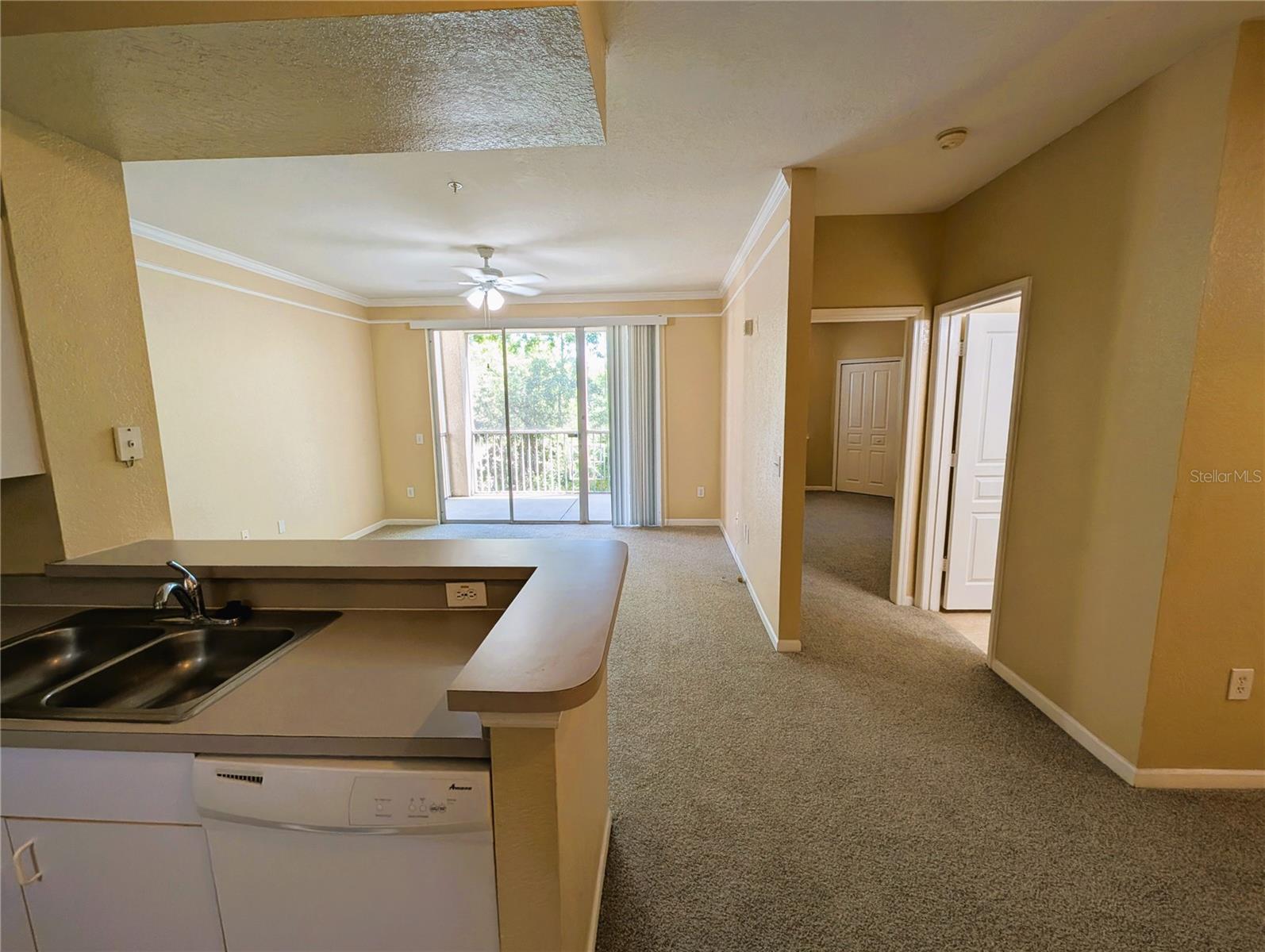 17104 CARRINGTON PARK DR #518, TAMPA, FL, 33647