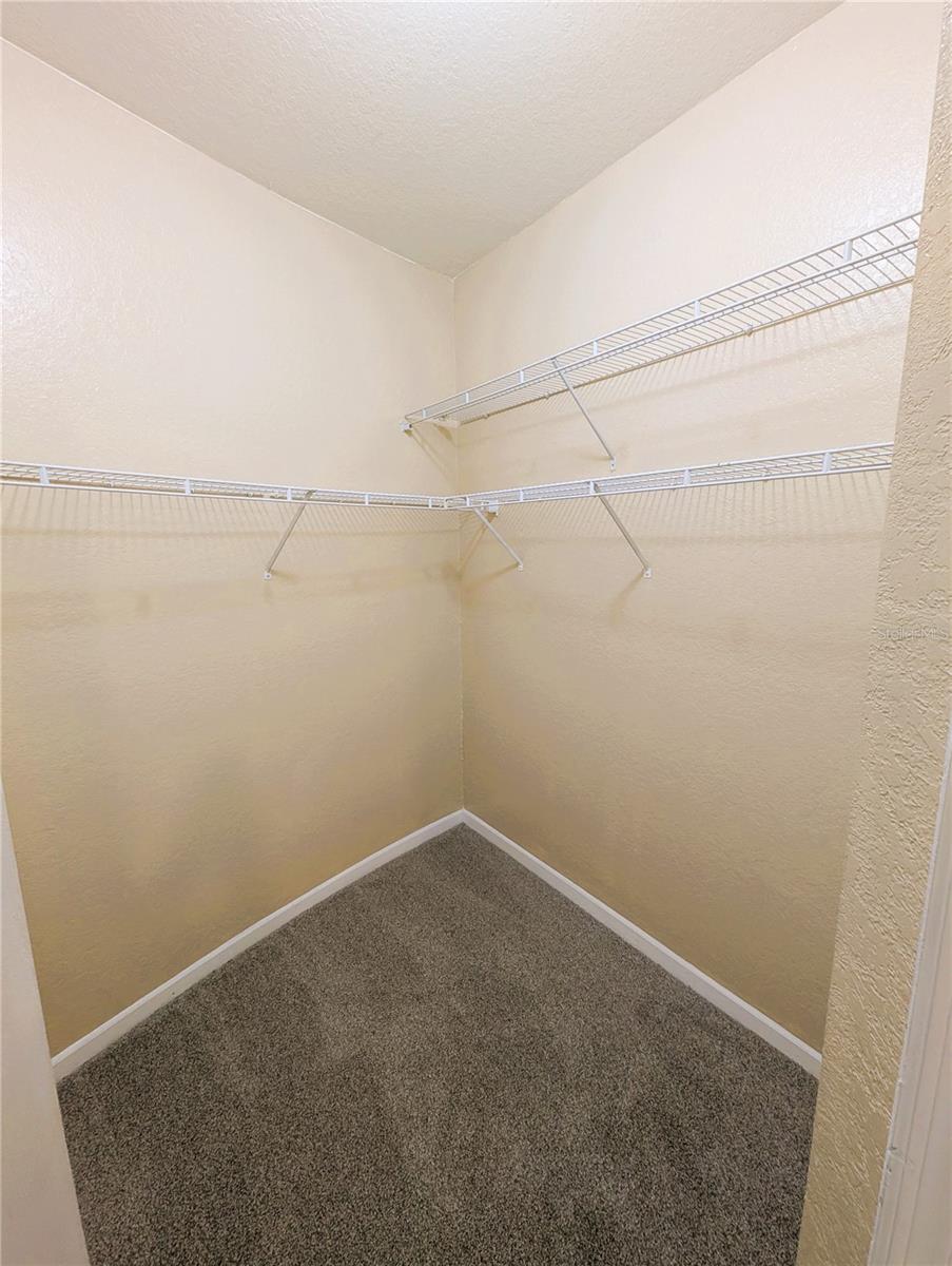 17104 CARRINGTON PARK DR #518, TAMPA, FL, 33647