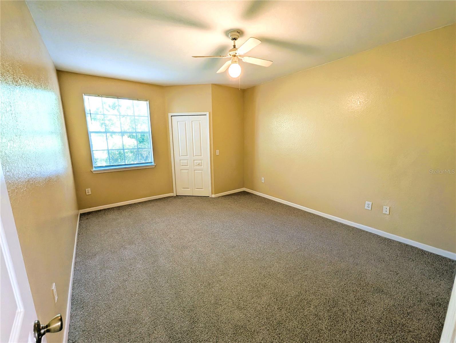 17104 CARRINGTON PARK DR #518, TAMPA, FL, 33647