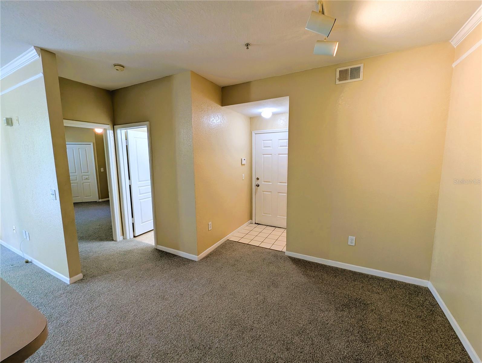 17104 CARRINGTON PARK DR #518, TAMPA, FL, 33647