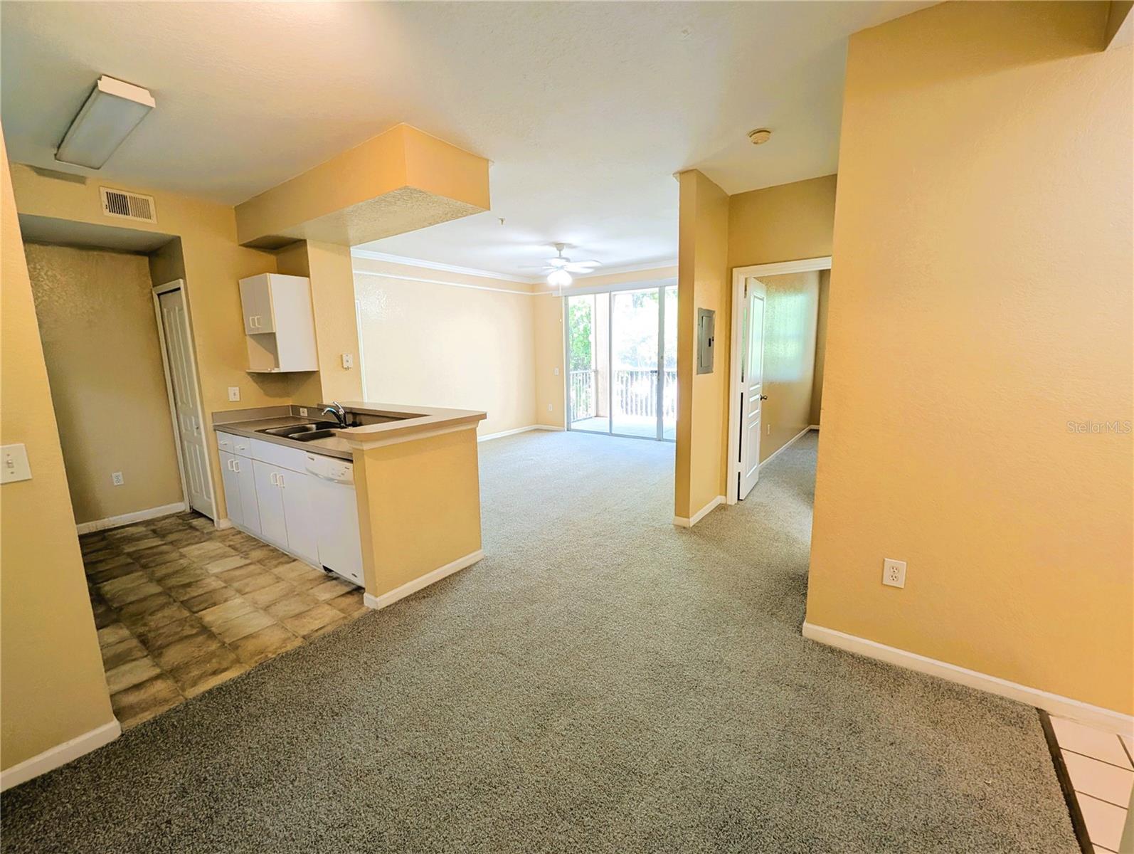 17104 CARRINGTON PARK DR #518, TAMPA, FL, 33647