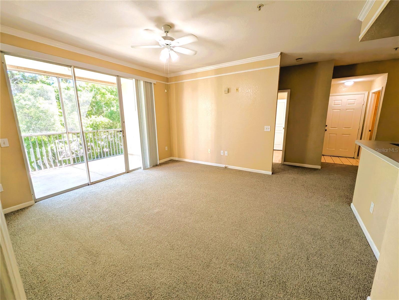 17104 CARRINGTON PARK DR #518, TAMPA, FL, 33647