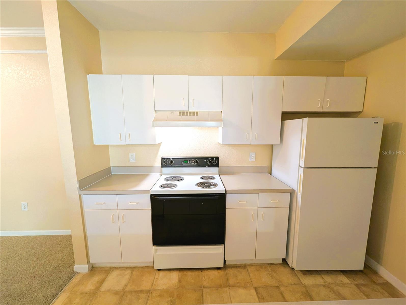 17104 CARRINGTON PARK DR #518, TAMPA, FL, 33647