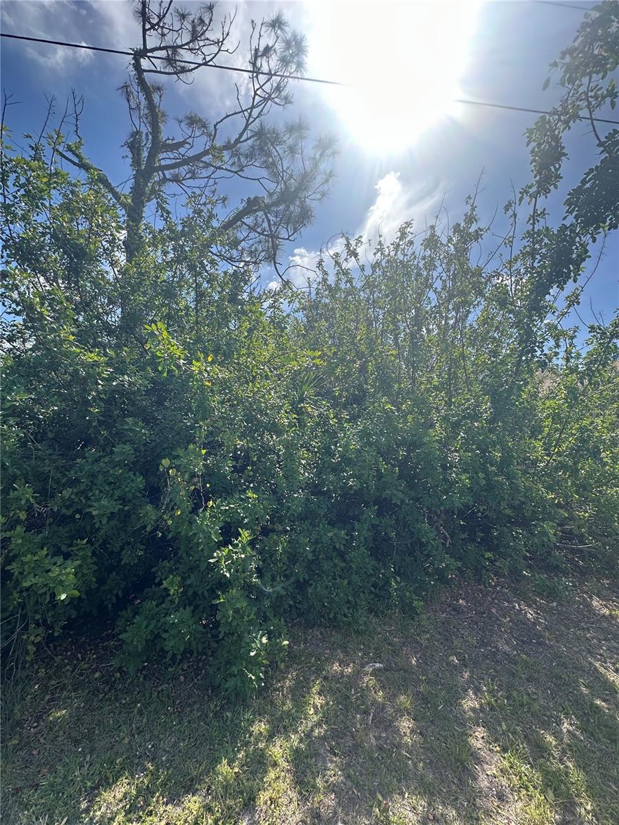 127 COCA LN, ROTONDA WEST, FL, 33947