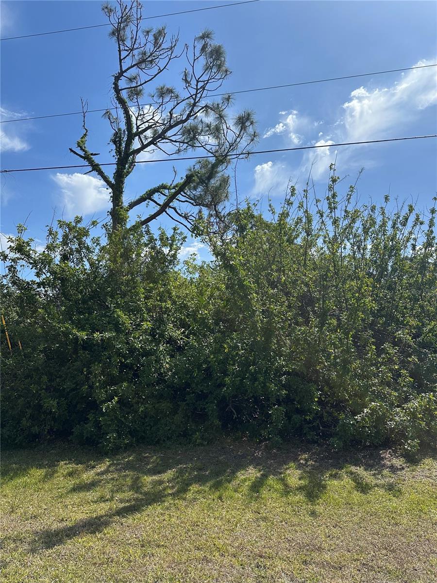 127 COCA LN, ROTONDA WEST, FL, 33947