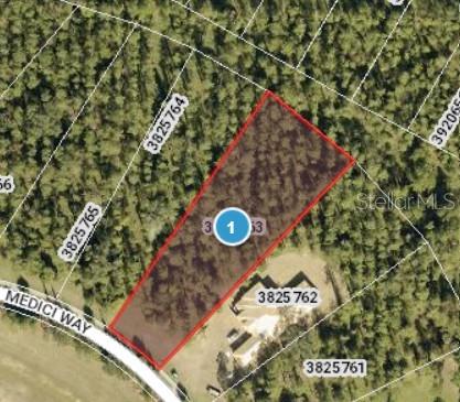 17046 MEDICI WAY, BELLA COLLINA, FL, 34756